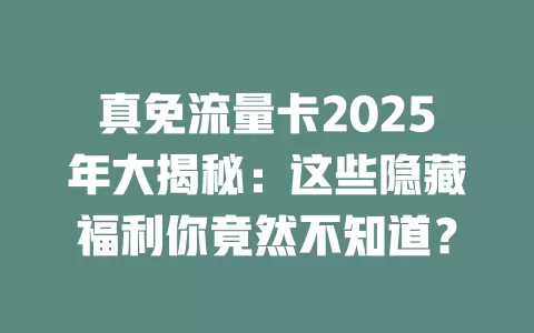真免流量卡2025年大揭秘:这些隐藏福利你竟然不知道?