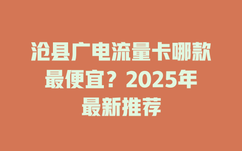 沧县广电流量卡哪款最便宜？2025年最新推荐