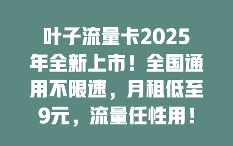 叶子流量卡2025年全新上市！全国通用不限速，月租低至9元，流量任性用！