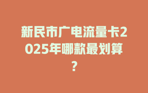 新民市广电流量卡2025年哪款最划算？
