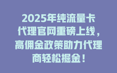 2025年纯流量卡代理官网重磅上线，高佣金政策助力代理商轻松掘金！