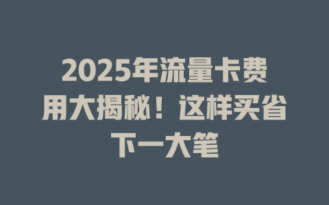 2025年流量卡费用大揭秘！这样买省下一大笔