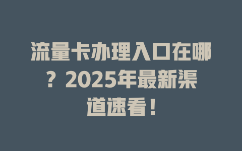 流量卡办理入口在哪？2025年最新渠道速看！