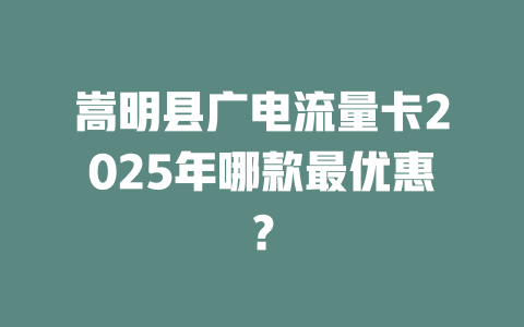 嵩明县广电流量卡2025年哪款最优惠？