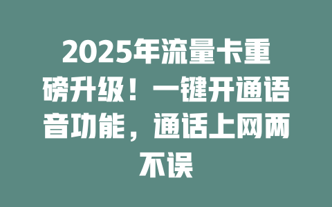 2025年流量卡重磅升级！一键开通语音功能，通话上网两不误