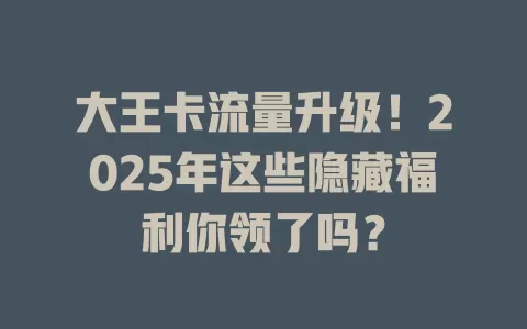 大王卡流量升级！2025年这些隐藏福利你领了吗？