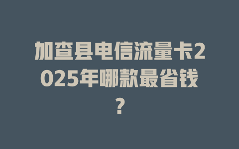 加查县电信流量卡2025年哪款最省钱？