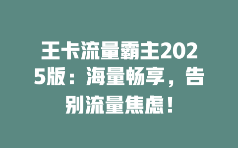 王卡流量霸主2025版：海量畅享，告别流量焦虑！