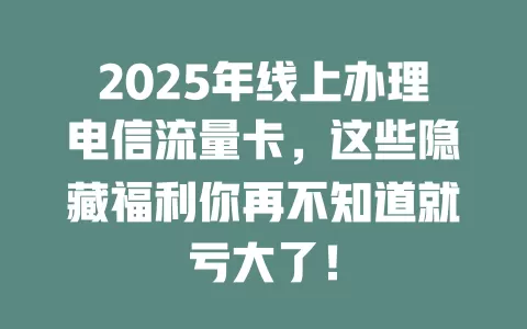 2025年线上办理电信流量卡，这些隐藏福利你再不知道就亏大了！