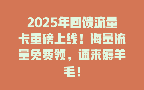 2025年回馈流量卡重磅上线！海量流量免费领，速来薅羊毛！
