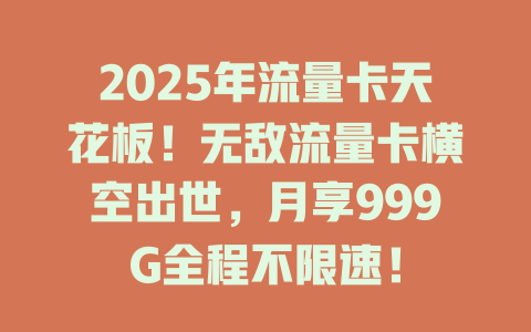 2025年流量卡天花板！无敌流量卡横空出世，月享999G全程不限速！