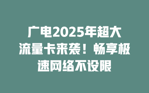广电2025年超大流量卡来袭！畅享极速网络不设限