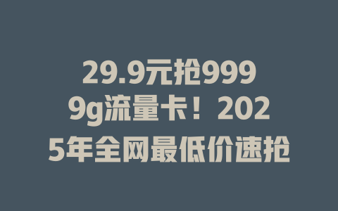 29.9元抢9999g流量卡！2025年全网最低价速抢