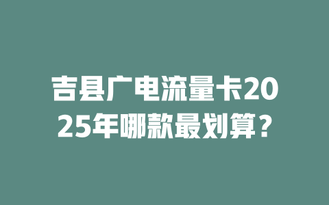 吉县广电流量卡2025年哪款最划算？