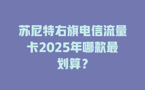 苏尼特右旗电信流量卡2025年哪款最划算？