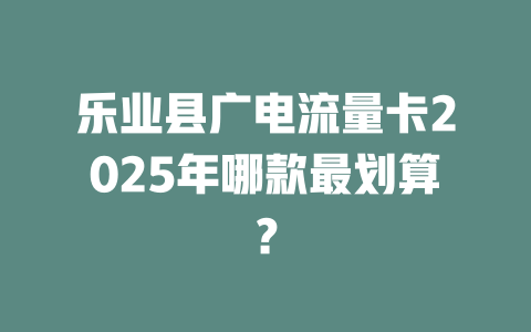 乐业县广电流量卡2025年哪款最划算？