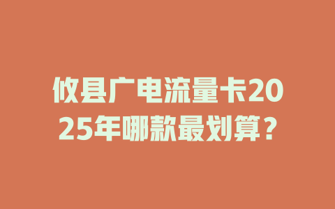 攸县广电流量卡2025年哪款最划算？