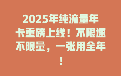 2025年纯流量年卡重磅上线！不限速不限量，一张用全年！