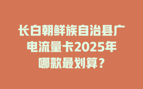 长白朝鲜族自治县广电流量卡2025年哪款最划算？