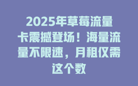 2025年草莓流量卡震撼登场！海量流量不限速，月租仅需这个数
