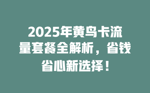 2025年黄鸟卡流量套餐全解析，省钱省心新选择！