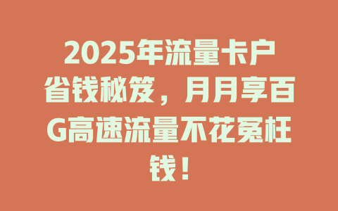 2025年流量卡户省钱秘笈，月月享百G高速流量不花冤枉钱！