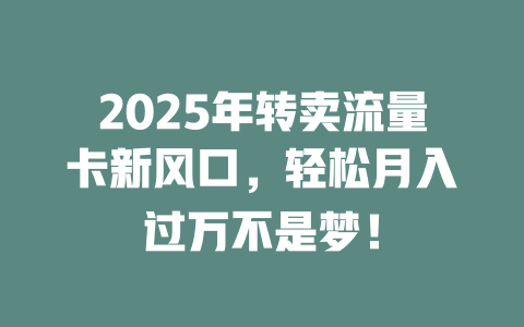 2025年转卖流量卡新风口，轻松月入过万不是梦！
