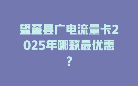 望奎县广电流量卡2025年哪款最优惠？