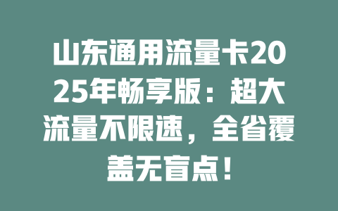 山东通用流量卡2025年畅享版：超大流量不限速，全省覆盖无盲点！