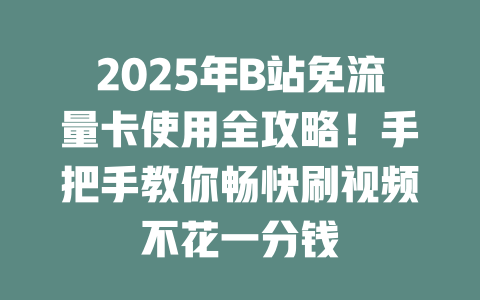 2025年B站免流量卡使用全攻略！手把手教你畅快刷视频不花一分钱