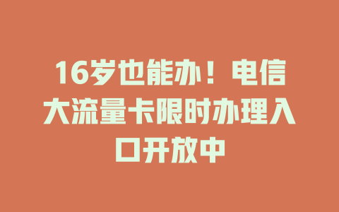 16岁也能办！电信大流量卡限时办理入口开放中