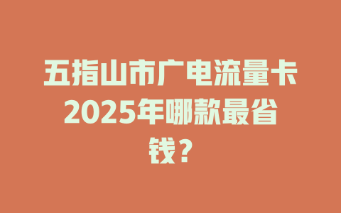 五指山市广电流量卡2025年哪款最省钱？