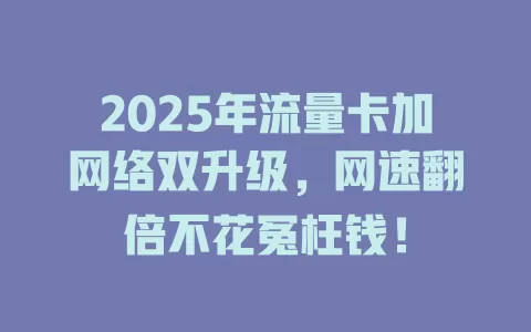 2025年流量卡加网络双升级，网速翻倍不花冤枉钱！