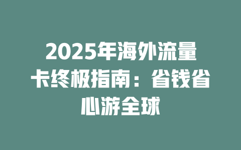 2025年海外流量卡终极指南：省钱省心游全球