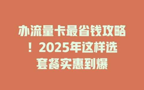 办流量卡最省钱攻略！2025年这样选套餐实惠到爆