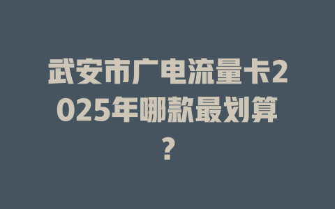 武安市广电流量卡2025年哪款最划算？