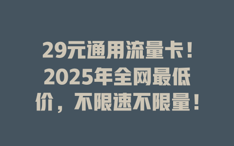 29元通用流量卡！2025年全网最低价，不限速不限量！