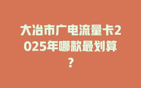 大冶市广电流量卡2025年哪款最划算？
