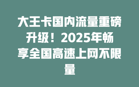 大王卡国内流量重磅升级！2025年畅享全国高速上网不限量