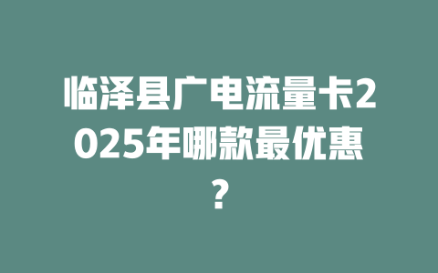 临泽县广电流量卡2025年哪款最优惠？