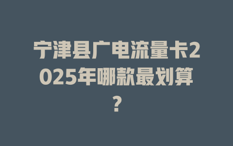 宁津县广电流量卡2025年哪款最划算？