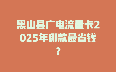 黑山县广电流量卡2025年哪款最省钱？