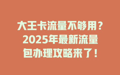 大王卡流量不够用？2025年最新流量包办理攻略来了！