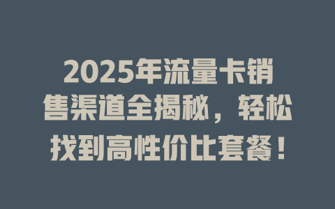 2025年流量卡销售渠道全揭秘，轻松找到高性价比套餐！