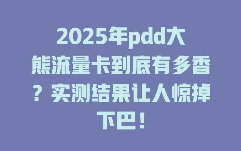 2025年pdd大熊流量卡到底有多香？实测结果让人惊掉下巴！
