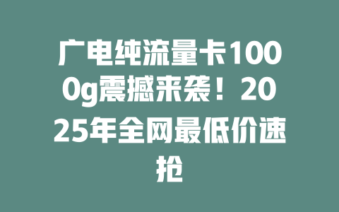 广电纯流量卡1000g震撼来袭!2025年全网最低价速抢