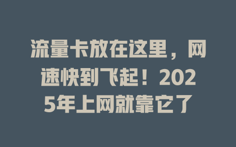 流量卡放在这里，网速快到飞起！2025年上网就靠它了