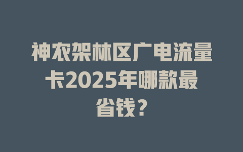 神农架林区广电流量卡2025年哪款最省钱？