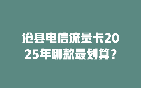沧县电信流量卡2025年哪款最划算？