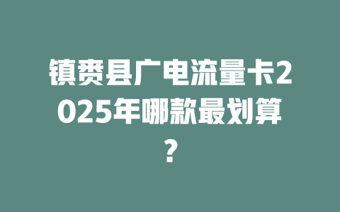 镇赉县广电流量卡2025年哪款最划算？